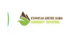 Client or partner logo